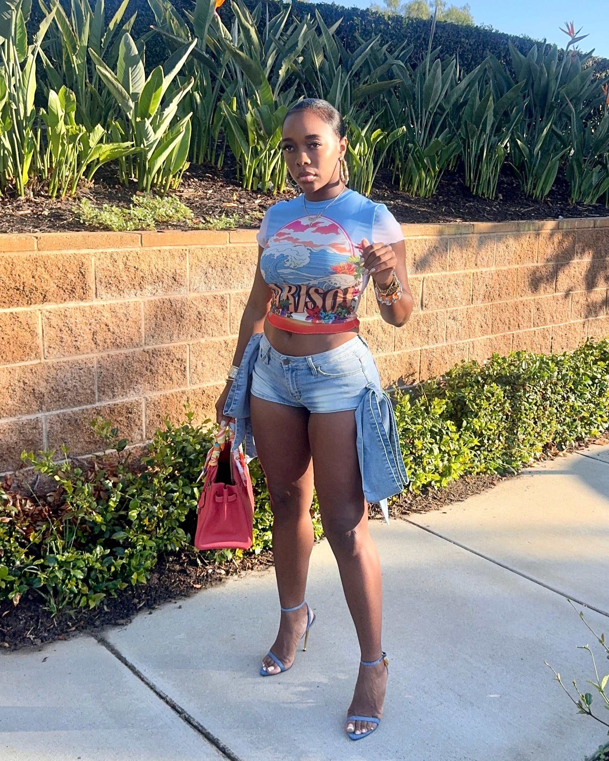 Side Effects : Denim Shorts