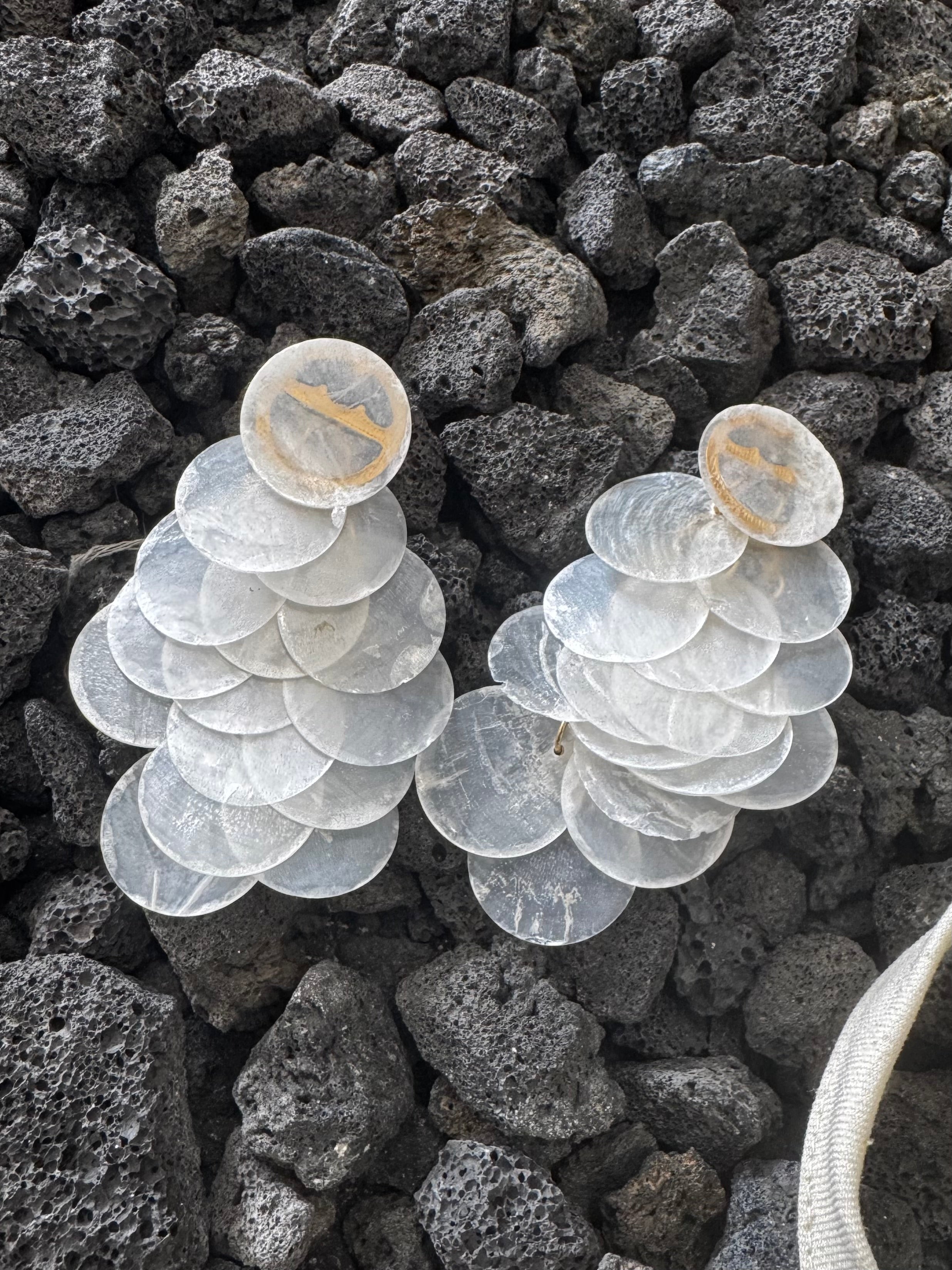 Capri Shell : Earrings